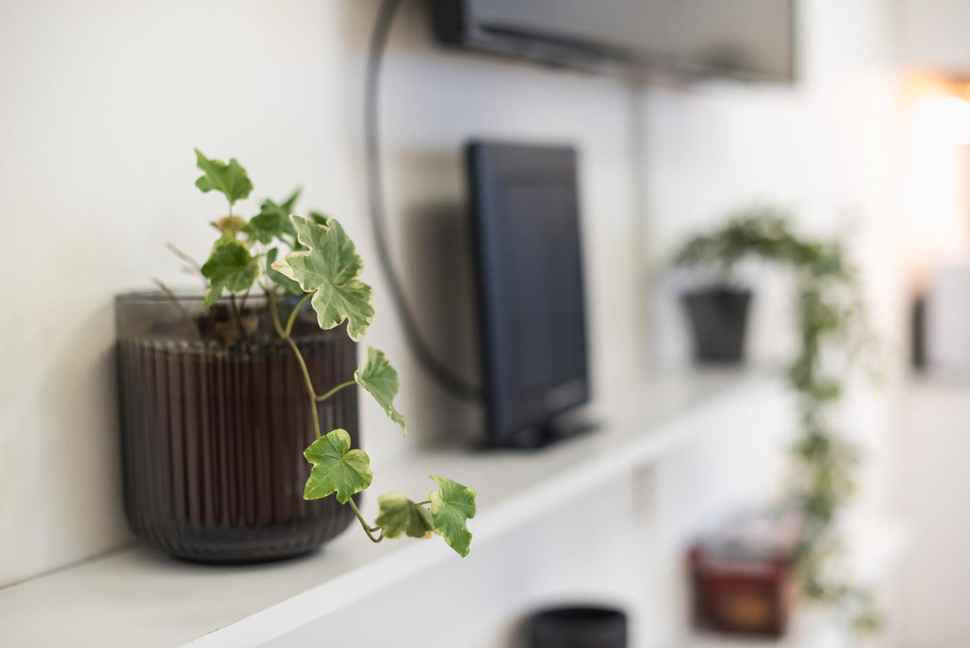 Modern Apartment 200M From Acropolis 100Mbps Netflix Aten Exteriör bild
