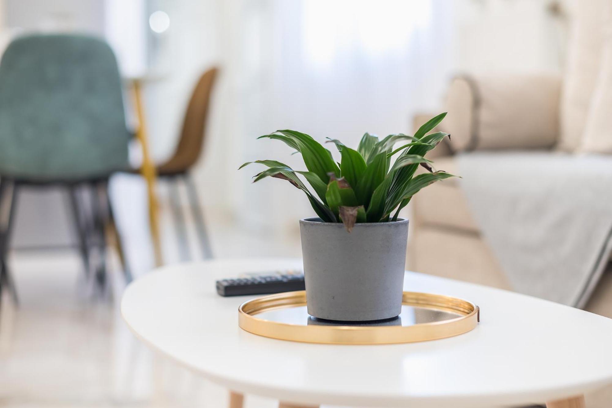 Modern Apartment 200M From Acropolis 100Mbps Netflix Aten Exteriör bild